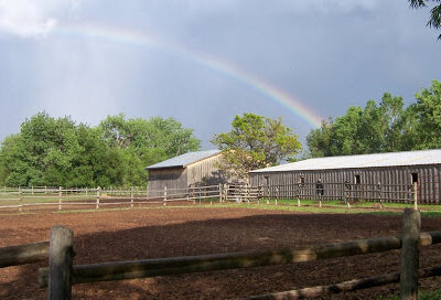 Laughing Buck Farm