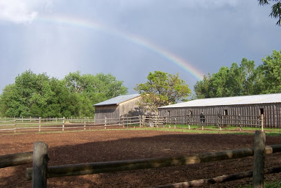 Laughing Buck Farm