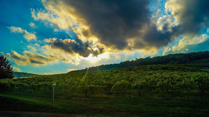Adams County Winery