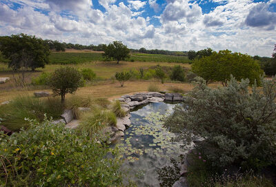 Flat Creek Estate Winery & Vineyard