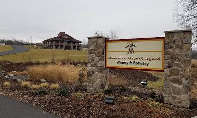 Mountain View Vineyard, Winery, Brewery & Distillery