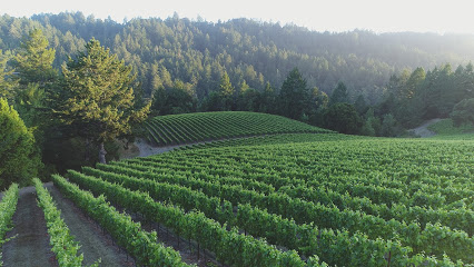 Mindego Ridge Vineyard