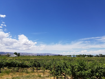 Ptarmigan Vineyards/Stoney Mesa Winery