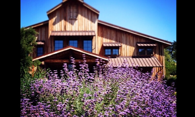Grassini Family Vineyards and Winery