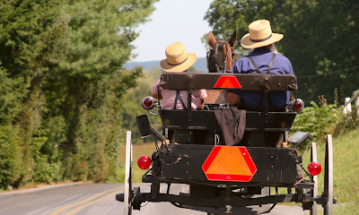 The Amish Farm and House