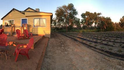 Belli Fiori Lavender Farm