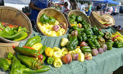 North Buffalo Farmers Market