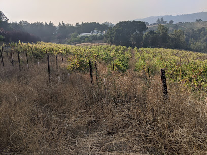 Camel Hill Vineyards