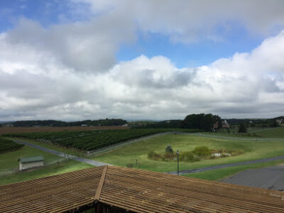 Barren Ridge Vineyards