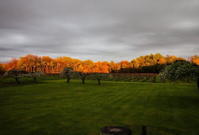 6 Mile Cellars, Inc.