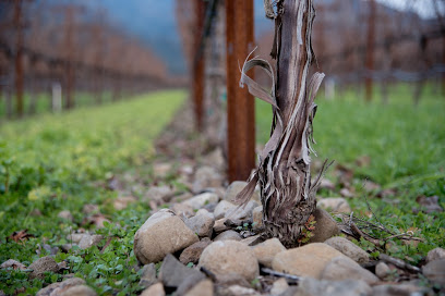 Larkmead Vineyards