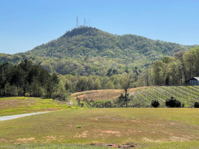 Currahee Vineyard & Winery
