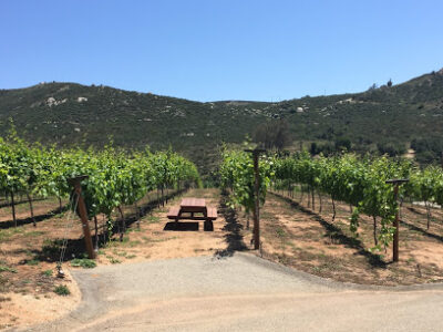 Vineyard Grant James