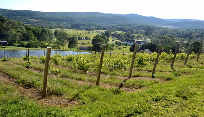 Pail Shop Vineyards