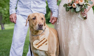 Nolichucky Vineyard Weddings