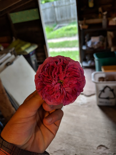 Happy Heart Farm