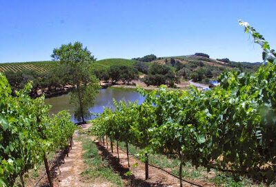 Wine Road