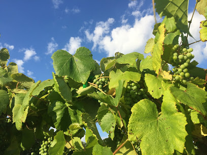 Hammerstone Cellars