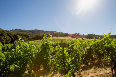 Tira Nanza Wines