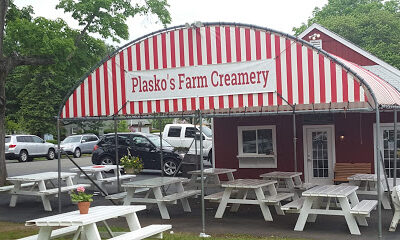 Plasko's Farm Creamery & Cafe