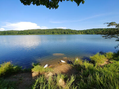 Lake Zwerner Trail and Pulloff