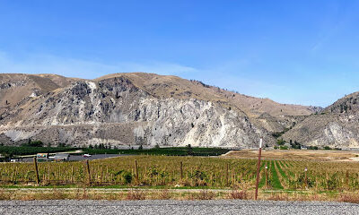 Rocky Pond Winery