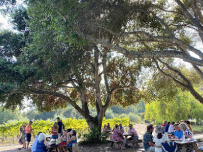 Nicholson Vineyards Winery
