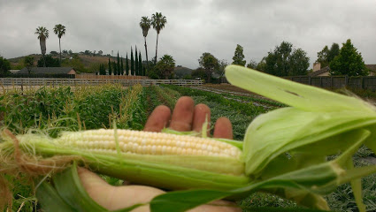 Goleta Grown Organics Boundary