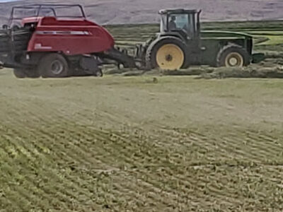 Alderdale Fountain Farms LLC