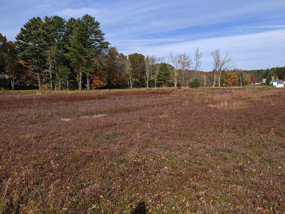 Stone Bridge Farm