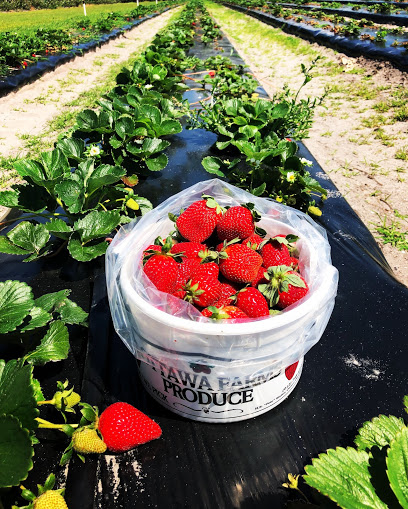 Ottawa Farms