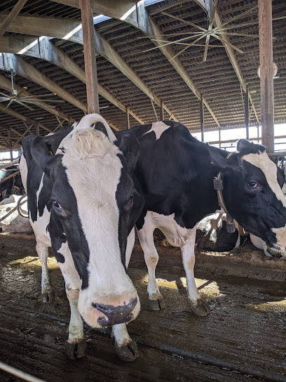 Kuehnert Dairy Farm