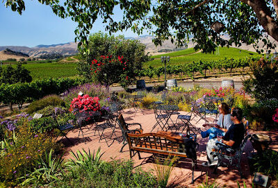 Wolff Vineyards