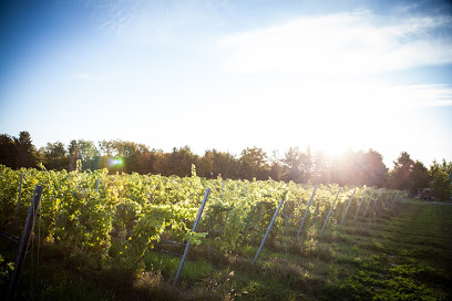 Devils Dive Vineyard
