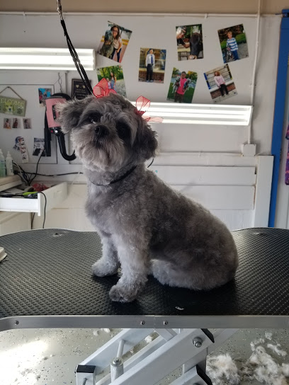 Toledo Pet Farm