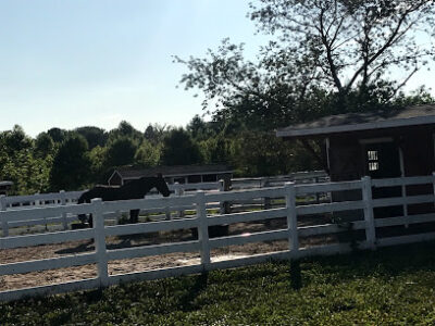 Baiting Hollow Farm Vineyard