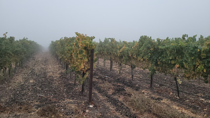 Paragon Vineyard Co