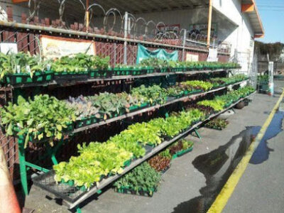 Orange County Farm Supply