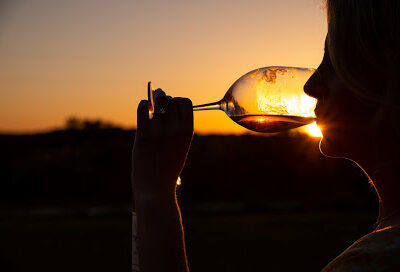 Saint Tryphon Farm & Vineyards