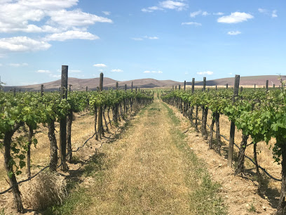 Portteus Winery