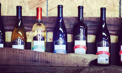 Batton Hollow Winery