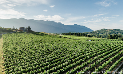 Baillie-Grohman Estate Winery