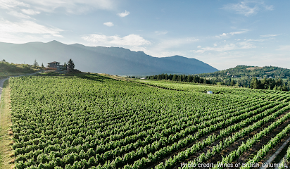 Baillie-Grohman Estate Winery