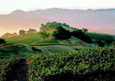 Stonestreet Winery