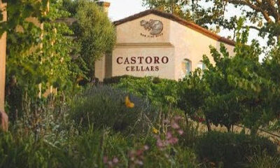 Castoro Cellars Vineyards & Winery