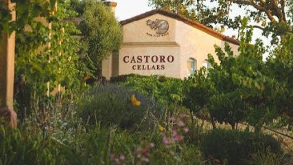 Castoro Cellars Vineyards & Winery