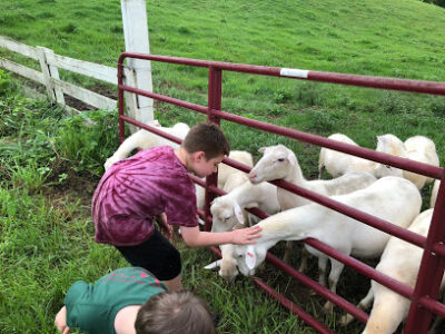 Thornfield Farm