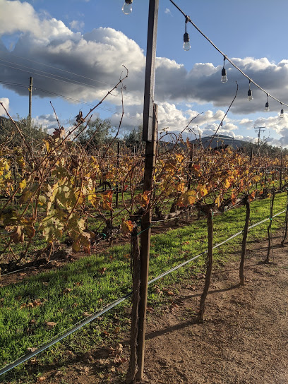 Vinos Lechuza