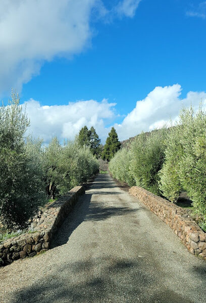 Eisele Vineyard