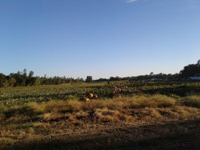 SpencerKess Farm